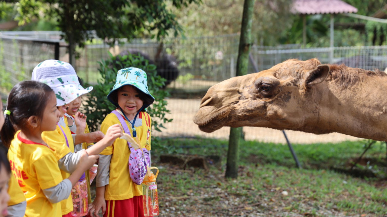 Young children learning together through a guided LOE activity